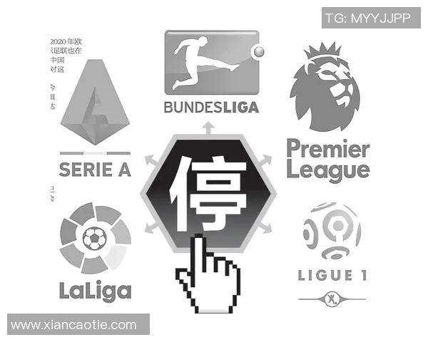 全面解析各大联赛信息及其发展动态与趋势