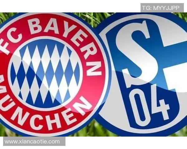 拜仁慕尼黑主场轻松击败沙尔克04，取得开门红